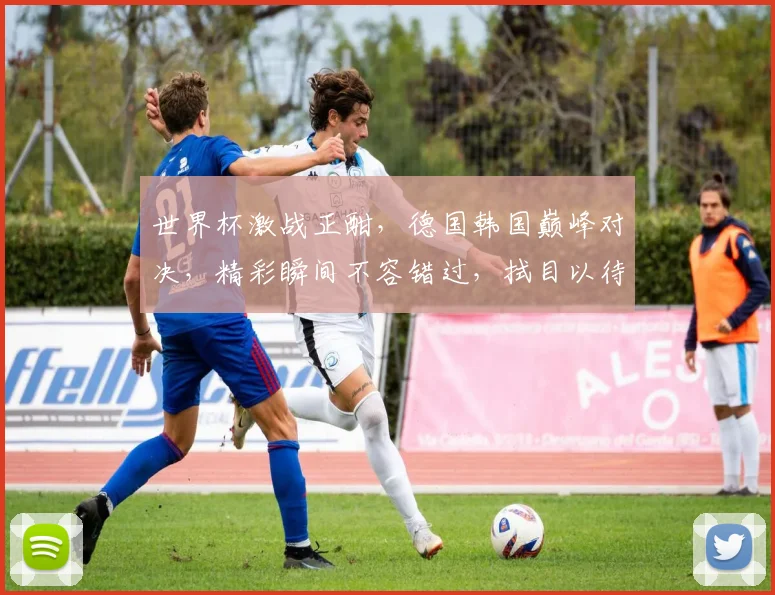 世界杯激战正酣，德国韩国巅峰对决，精彩瞬间不容错过，拭目以待