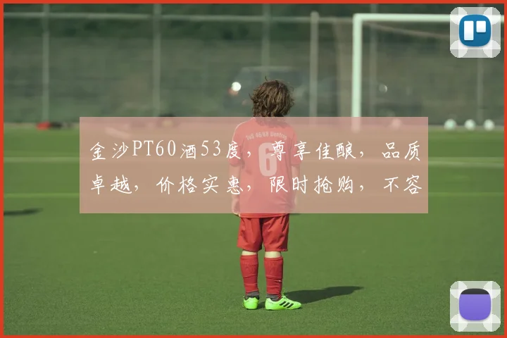 金沙PT60酒53度，尊享佳酿，品质卓越，价格实惠，限时抢购，不容错过