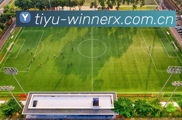 App 展示图